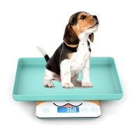 1 x RAW Customer Returns Puppy scale, pet scale for newborn dogs and cats, 15 kg with an accuracy of 1 gram, removable tray - RRP €26.74