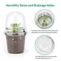 1 x RAW Customer Returns KINGLAKE 32 pieces 10 cm cultivation pots with dome lid, transparent, small plant pots made of plastic with humidity dome and 10 pieces plant plugs, round flower pots for seeds, seedlings - RRP €19.14