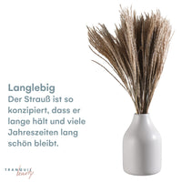 29 x Brand New Tranquil Beauty Pampas Grass for Vases - Dried Pampas Grass Decoration with Boho Chic Touch for Living Room and Bedroom - Handpicked Naturally Dried - No Care Required - RRP €438.48