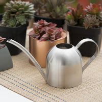 1 x RAW Customer Returns VIFERR Stainless Steel Watering Can - 500ml Small Watering Can with Long Spout, Houseplant Watering Can Mini Bonsai Watering Can for Indoor and Outdoor Plants Silver  - RRP €23.09