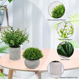 2 x Brand New Pack of 4 artificial plants in pots, small artificial eucalyptus plant, artificial plastic plants like real ones, mini fake plants for bathroom, living room, windowsill, desk, interior decoration - RRP €49.98