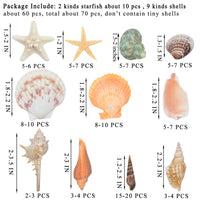 2 x RAW Customer Returns Mixed Beach Shells and Starfish 9 Kinds 3-9 CM Natural and 2 Kinds Theme Party Wedding Decorations DIY Crafts - RRP €22.22