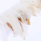 2 x RAW Customer Returns Raibertin Natural Fluffy Ostrich Feather Trim Fringe Ribbon for Fascinator Millinery Crafts Wedding Dress Accessories Clothing Sewing Costumes Decoration - Pack of 2 Yards 10-15cm, White  - RRP €34.4