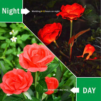 1 x RAW Customer Returns HELESIN Solar Lights Decoration, 2 Pack Waterproof Flower Solar Lamps for Outdoor, Solar Lamps with LED Rose Lights, Lights Change Color for Garden, Lawn, Field, Path and Suggestion Red  - RRP €20.99