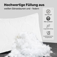 1 x RAW Customer Returns puredown Goose Feather and Down Pillows with 100 Cotton Cover Machine Washable Pack of 2, 40x80cm - RRP €49.99