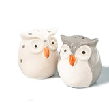 2 x RAW Customer Returns Salt and pepper set in the shape of cute owls with transparent PVC box - RRP €23.6