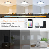 1 x RAW Customer Returns Smart RGB LED Ceiling Light Dimmable 24W, BLNAN WiFi Ceiling Lamp with APP Control and Remote Control, Compatible with Alexa Google Home, Living Room Bedroom Children s Room Dining Room 32cm - RRP €42.85