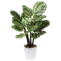 1 x RAW Customer Returns Briful 63CM Artificial Calathea Medallion Artificial Plant Decorative Plant Tropical Houseplants in Pot for Home Garden Office Decoration - RRP €40.33