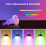 1 x RAW Customer Returns GY Smart WiFi Light Bulb R50 7W 620lm Colored Light Bulb Language Dimmable Smart Home Accessories Compatible with Alexa, Google Assistant No Hub Required Smart Light Bulb 2 Pack  - RRP €19.53