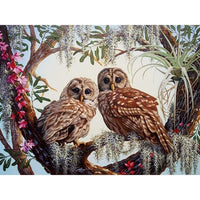 1 x Brand New Bimkole Diamond Painting Owl 5D DIY Diamond Painting Kit, Full Drill Rhinestone Embroidery Cross Stitch Art and Craft Wall Decor 30 40cm y1-163  - RRP €11.99