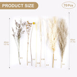 15 x Brand New 70 Pieces Pampas Grass Plant Set,40-45cm Natural Dried Pampas Grass Flower Decorative Dried Flowers Dried Grass Cane Grass Decoration for Wedding,Party,Boho Decor - RRP €205.8