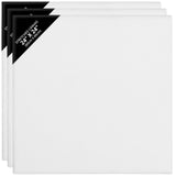 1 x RAW Customer Returns Belle Vous Pack of 3 White Canvases for Painting 60 x 60 cm - Pre-Stretched Canvas Panel Set - Suitable for Acrylic and Oil Painting - White Canvas for Sketches and Drawings - RRP €36.3