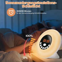 1 x RAW Customer Returns WADEO daylight alarm clock, sunrise sunset simulation alarm clock with 7-color light and FM radio, wake up light alarm clock with 12 nature sounds, touch control and snooze function - RRP €38.66