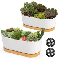 1 x RAW Customer Returns ARVINKEY White Ceramic Succulent Planters, Indoor and Outdoor Succulent Planters, Set of 2 Small Cactus Containers, Bonsai Pots, Flower Pots with Bamboo Tray No Plant  - RRP €21.17