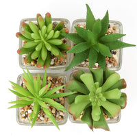 1 x RAW Customer Returns Briful Artificial Plant Artificial Succulent Plant Houseplant Decorative Living Room Bathroom Decorative Plant Succulent Height 8 cm in a Glass Pot Set of 3 - RRP €20.16