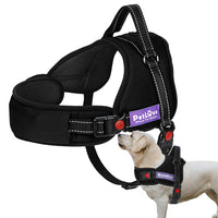 11 x Brand New Mixed domestic animal - RRP €177.73