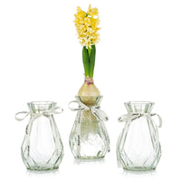 1 x Brand New Clear Glass Vases for Flowers with Silk Rope, 3 Modern Hyacinth Vases Hydroponic Plant Daffodil Bud Avocado Vase for Indoor Windowsill Decor - RRP €18.74