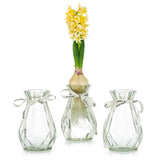 1 x Brand New Clear Glass Vases for Flowers with Silk Rope, 3 Modern Hyacinth Vases Hydroponic Plant Daffodil Bud Avocado Vase for Indoor Windowsill Decor - RRP €18.74