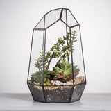 1 x RAW Customer Returns NCYP 16.5x16.5x25cm Glass Geometric Terrarium, Irregular Prism, 25cm High Flower Pot for Succulents, Fern Without Plants  - RRP €36.99