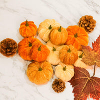 1 x Brand New Artificial Pumpkins, 12 Pack Fake Velvet Pumpkins Table Decoration Small Pumpkins for Home Farmhouse Fall Harvest Thanksgiving Wedding Halloween Party Decoration - RRP €13.91