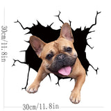 20 x Brand New zhushuGG Dog Car Sticker - Frenchie Bulldog Sticker for Wall 30CM, Refrigerator 3D Sticker, 3D Car Sticker Dog Wall Sticker Funny Decoration Styling Cute Dog Decal C, 11.8 x 11.8 inches  - RRP €120.8