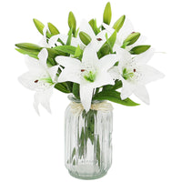 1 x RAW Customer Returns Olrla Pack of 6 White Artificial Lily Flowers, Artificial Plastic Flowers, Artificial Lily Real Touch Home Wedding Party Decoration, Flower Arrangement - RRP €17.72