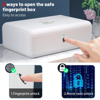 1 x RAW Customer Returns LOCK Biometric Safe Fingerprint Recognition Compact Ideal for checkbooks, money, jewelry, ID cards 1 - RRP €49.99