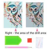 1 x Brand New Xiaomoyu 5D DIY Diamond Painting Kits, Owl Diamond Painting Pictures Full Drill, Diamond Rhinestone Crystal Embroidery Canvas Pictures Painting by Numbers for Adults Children Decorations - RRP €7.75