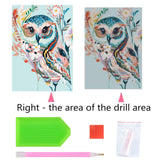 1 x Brand New Xiaomoyu 5D DIY Diamond Painting Kits, Owl Diamond Painting Pictures Full Drill, Diamond Rhinestone Crystal Embroidery Canvas Pictures Painting by Numbers for Adults Children Decorations - RRP €7.75