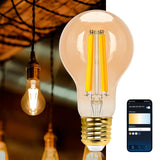 1 x RAW Customer Returns Aigostar Alexa Light Bulb E27 Edison Vintage Light Bulbs 6W Dimmable Retro Light Bulbs A60 Smart Lamp WiFi Dimmable 2700K-6500K, App Control Compatible with Alexa and Google Assistant. Amber 1 Piece - RRP €13.49