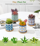 1 x RAW Customer Returns Lewondr Mini Succulent Plant Pot Set, 4 Piece Decorative Ceramic Cylindrical Pots with Colorful Symmetrical Pattern Coating, with Drainage Hole and Bamboo Saucer, Multicolor - RRP €25.81