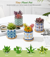 1 x RAW Customer Returns Lewondr Ceramic Succulent Pots, 4 Pack Decorative Flower Pot, 7.1CM Symmetry Pattern Planter with Holes Bamboo Coaster for Balcony Desktop Office Home, Multi-Colored - RRP €25.2