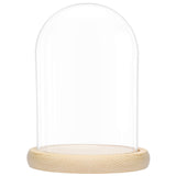 1 x RAW Customer Returns Belle Vous Glass Dome Jar Dome Bell with Natural Wood Base 20cm Transparent Decorative Bell Centerpiece for Fairy Lights Antique Urn - RRP €21.96