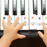 28 x Brand New Matogle Piano Key Stickers Keyboard White Removable Stickers Notes Transparent Plastic Key Guide for Beginners Children Adults Students Multicolored - RRP €873.6