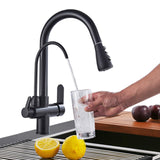 1 x RAW Customer Returns Onyzpily Pure Water Kitchen Faucet with Pull Out Double Handle Hot and Cold Drinking Water 3 Way Filter Kitchen Mixer Taps Black - RRP €75.64