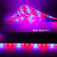 1 x RAW Customer Returns Tesfish LED Plant Grow Strip Light DC 12V IP65 Waterproof Full Spectrum SMD 5050 Red Blue 3 1 String Light for Aquarium Greenhouse Plants - RRP €18.99