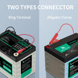 1 x RAW Customer Returns 12V LiFePO4 lithium battery charger, RoyPow 3A drip charger with crocodile clip and ring clamp - RRP €36.99