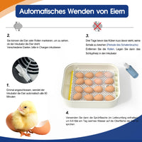 1 x RAW Customer Returns Hethya incubator fully automatic hatchery fully automatic incubator chickens for 12-16 eggs with humidity control, automatic egg turner and egg lamp - RRP €69.8