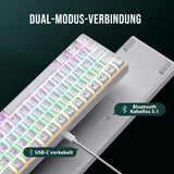 1 x RAW Customer Returns RK68 Mechanical Gaming Keyboard, Wireless Wired 65 , RGB 68 Keys Bluetooth, Hot Swap Keyboard for Win Mac, Brown Switch, White QWERTZ  - RRP €56.46