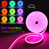 1 x RAW Customer Returns 12V RGB Neon LED Strip, IP65 Waterproof Silicone Flexible Strip, Remote Control, App Control, Music Sync Works with Alexa, Light Strip for Indoor Outdoor Decoration 5M  - RRP €29.99