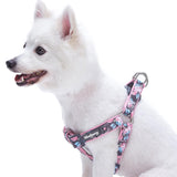 3 x Brand New Mixed domestic animal - RRP €61.2