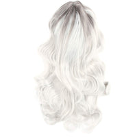 1 x RAW Customer Returns Gradient Gray Long Wavy Wig, Long Wavy Heat Resistant Hair Wig, Natural Looking Women s Long Curly Wig for Everyday Halloween Party Cosplay - RRP €26.19