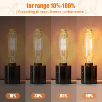 1 x RAW Customer Returns SD LUX Vintage LED Light Bulb Tube 8W TT80 Amber E27 XXL Decorative Light Bulbs 75W Equi. Large Retro Bulbs Dimmable 800LM Edison Bulb Pendant Light, Warm White 2500K, 1 Pack - RRP €30.6