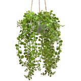 1 x RAW Customer Returns Briful Artificial Plants Ficus Pumila Hanging Plant Room Wall Decoration Aesthetic Artificial Plant, Height 35.5 cm, in Hanging Basket - RRP €23.18