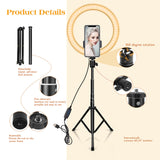 1 x RAW Customer Returns AIXPI 10 inch LED ring light with 59 inch tripod stand cell phone holder, dimmable table ring light for YouTube video recording, selfie, live stream, makeup photography compatible with smartphone, USB - RRP €33.99