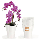 1 x RAW Customer Returns Garden lux orchid pot set of 4 2L orchid planter large white transparent flowerpot 16cm - plastic orchid pot - flowerpot for orchids - RRP €25.2