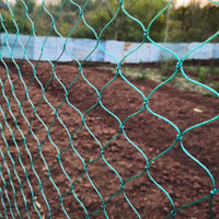 1 x RAW Customer Returns LXGKREL Aviary Netting, Poultry Netting, Very Robust, Made of 36 Strands with Fixed Knots, 5cm Mesh, Draft-Free Poultry Fence for the Protection of Predatory Birds - RRP €25.2