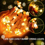 1 x Brand New Shengruili 2M Carrot Easter Decoration Fairy Lights, 20 LED Bunny Carrot Fairy Lights, Easter Night Light Decorative Lights, Easter Decoration String Lights, Easter Fairy Lights Rabbit Battery Operated - RRP €20.4