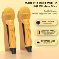 1 x RAW Customer Returns RUBEHOOW Karaoke Machine with 2 Wireless Microphones and Disco Colorful Light Effect, Suitable for Family Gatherings, Birthday Parties, Holiday Celebrations and Singing Practice - RRP €80.66