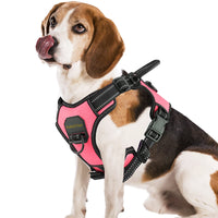 13 x Brand New PcEoTllar Small Dog Harness Large Size Reflective No Pull Padded and Breathable Adjustable Safety Harness for Walking and Running - Pink - XL - RRP €234.0